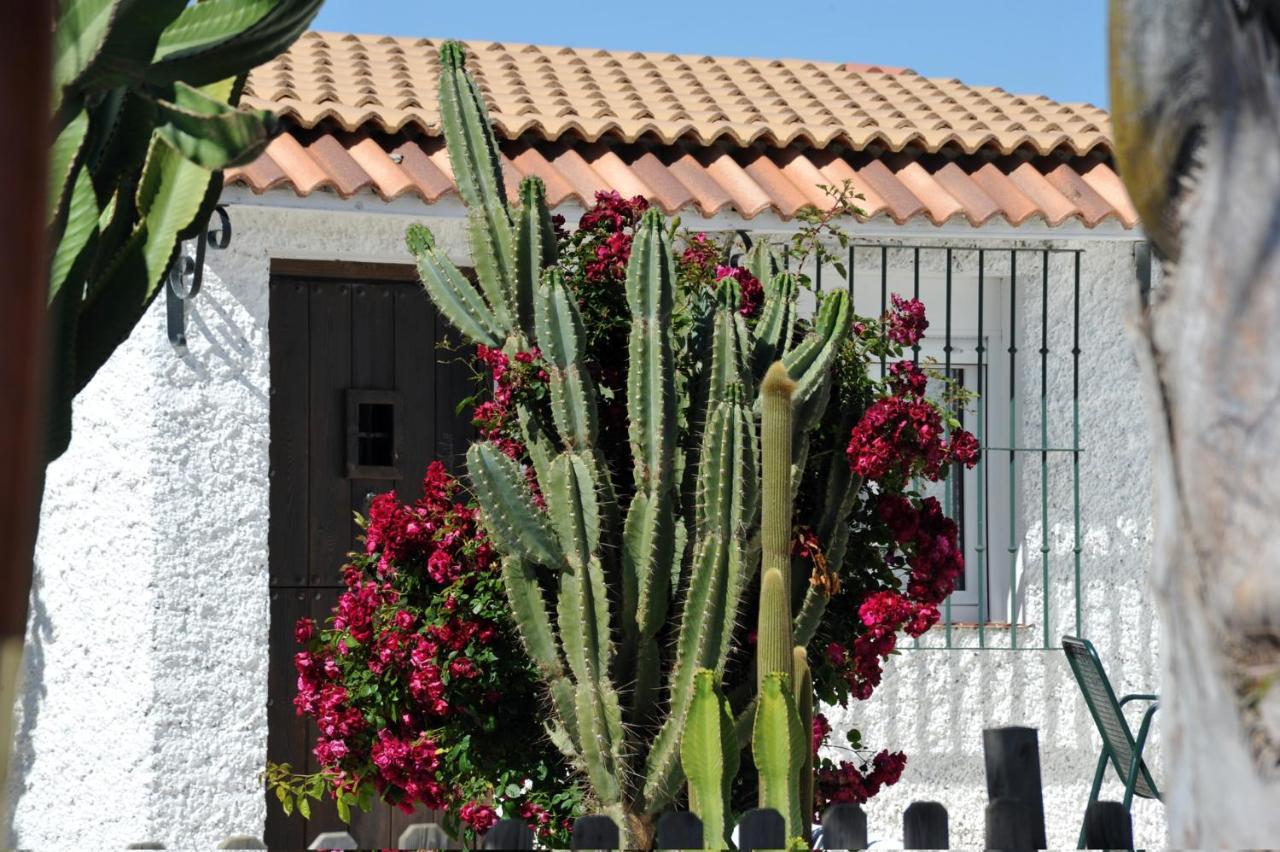 Apartamento Cortijo Flamingos Chiclana de la Frontera Exterior foto